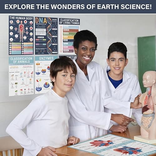 BrightenKidz Biology Posters for Classroom, 15 Pack 11x17 Science Charts | Laminated Educational Biology Charts for Middle & High School - Decor for Hallways, Bulletin Boards, Home Study Room thumbnail 7