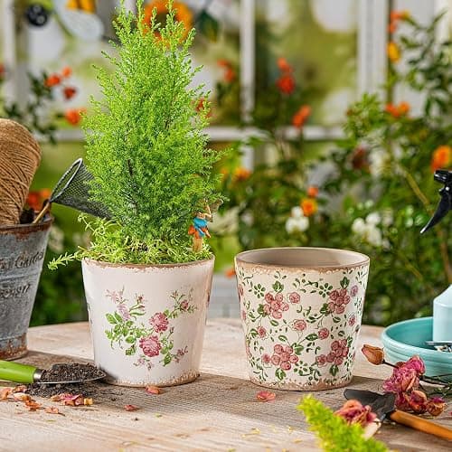 Sungmor Vintage Ceramic Planter Set of 2 - Decorative Indoor & Outdoor Flower Pots with Drainage Holes - Tuscan Décor Pots, 5.5" Ice Crackle Glaze Planters for Home, Kitchen, Patio, and Garden thumbnail 2