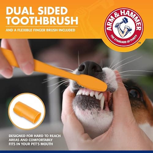 Arm & Hammer for Pets Tartar Control Kit for Dogs | Contains Toothpaste, Toothbrush & Fingerbrush | Reduces Plaque & Tartar Buildup | Safe for Puppies, 3-Piece , Beef Flavor thumbnail 4