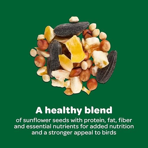 Kaytee Wild Bird Basic Seed, 10 lb - 10 Pound (Pack of 1) thumbnail 8