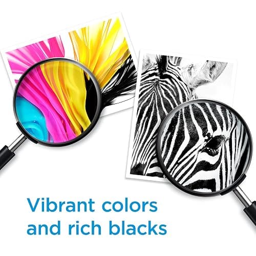 HP 67 Black/Tri-Color Ink Cartridges (2-Pack) | Works with DeskJet 1255, 2700, 4100, Envy 6000, 6400 | Instant Ink Eligible | 3YP29AN | Packaging May Vary thumbnail 6