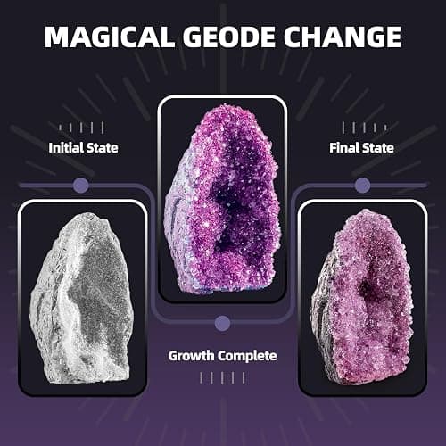GobiDex Geodes Growing Science Kit for Kids Age 6-8-12, Geodes with Crystals Grow Fast in (24H), STEM Educational Science Experiments Toys, Geology & Rock Enthusiasts Collection, Gifts for Boys Girls thumbnail 3