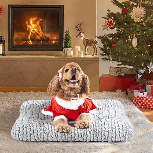 Doggy Bed  thumbnail 4