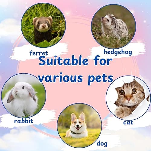 Homedy Crafts Ferret Treat Ball Interactive Toy Balls for Small Animal, Enrichment Toys Ferrets Dry Food Ball for Ferrets Guinea Pig Rat Chinchilla Hedgehog Bunny, Pet Ferret Accessories (XL, Wiggle) thumbnail 8