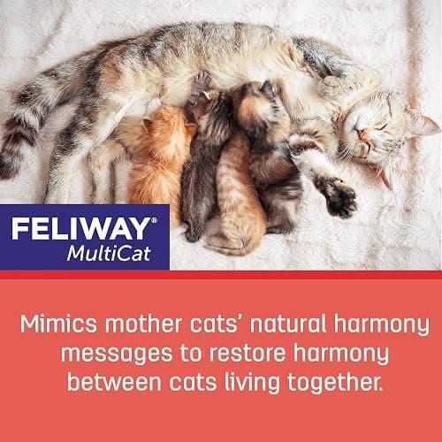 FELIWAY® MultiCat 3 x 30 Day Cat Calming Refills for Pheromone Diffuser, 3 x 48ml Value Pack- Helps Reduce Conflicts and Signs of Tension in Multi-Cat Households thumbnail 4