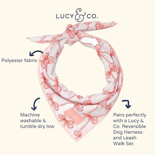 Lucy & Co. Ballet Bows Bandana - Durable Comfortable Dog Bandana - Machine Washable - Designer Puppy Accessory - Small White & Pink Bows thumbnail 2