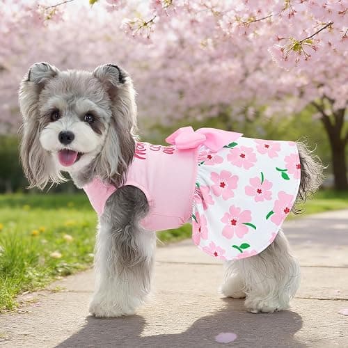 XPUDAC 4 Pack Mother's Day Dog Dress with Bowknot Cute Dog Clothes Puppy Skirt Bunny Egg Mommy Floral Holiday Pet Outfit for Girls, L thumbnail 3