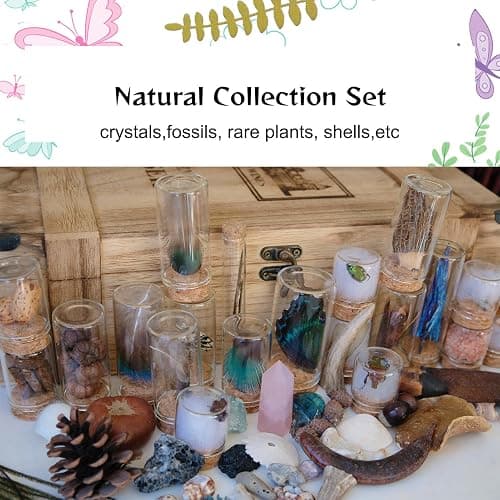 10Pcs Mystery Natural Oddities Collection Box - Real Fossils, Crystals & Taxidermy in Glass Vials | Dark Academia Decor for Adults & Kids | Witchy Curio Cabinet Decor | Unique Gifts for Science Lovers thumbnail 3
