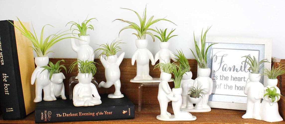 NW Wholesaler 5 Inch White Ceramic Couple Holding Hands People Shaped Planter with Two Live Tillandsia Air Plants - Potted Indoor Air Plants for Home and Office Decor thumbnail 8