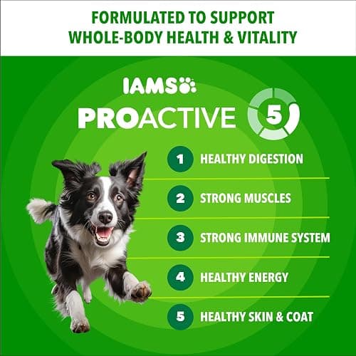 IAMS Proactive Health Adult Minichunks Premium Dry Dog Food, Adult Dog Food Dry Recipe, 30 lb. Bag thumbnail 3