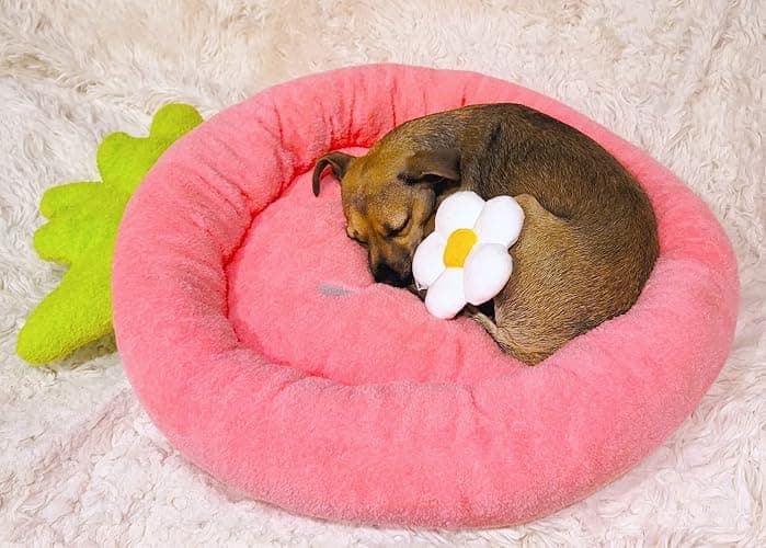 TONBO Soft Plush Small Cute and Cozy Food Dog Cat Bed, Washer and Dryer Friendly (Strawberry) thumbnail 2