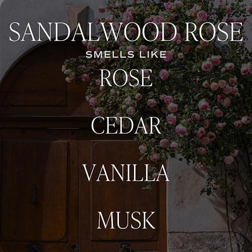 Sweet Water Decor Sandalwood Rose Reed Diffuser Set - Rose, Wood, Amber, Vanilla, & Musk Scented Diffusers - Scent Diffusers for Home, Long Lasting Fragrance, Made in The USA thumbnail 2