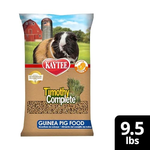 Kaytee Timothy Complete Guinea Pig Food with Timothy Hay, 9.5 Pounds | Supports digestion. Pelleted food for guinea pigs. guinea pig pellets, vitamin C, probiotics thumbnail 12