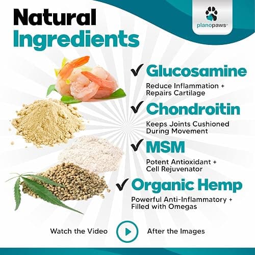 HempFlex - Glucosamine Chondroitin for Dogs - Hemp Oil for Dogs - Safe, All-Natural Dog Joint Supplement - 120 Mobility Hemp Dog Treats - Hip & Joint Support for Dogs - Dog Arthritis Pain Relief thumbnail 5