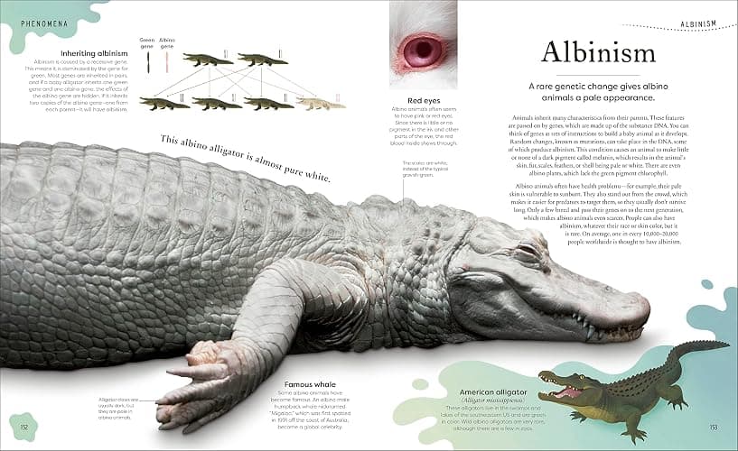 Weird and Wonderful Nature: Tales of More Than 100 Unique Animals, Plants, and Phenomena (DK Treasures) thumbnail 7