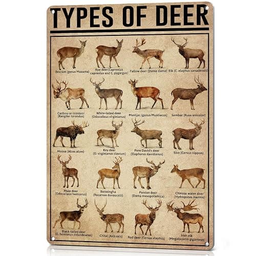 HYBLOM Hunting Decor Types Of Deer Poster, Vintage Metal Signs 8x12 Inches | Wildlife Wall Art for Cabin Man Cave Nursery Hunting Room, Deer Hunting Gifts for Hunters Men Boys, Waterproof Aluminum - Image 1