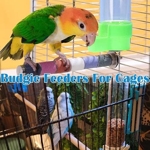4 Pcs Bird Water Feeder, Budgie Water Dispenser, Budgie Water Feeder - 120ml PP Plastic Bird Waterers (2 Blue + 2 Green) for Cage Mounting, Small Parrot & Finch Hydration thumbnail 6