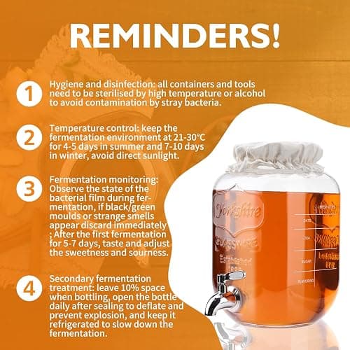 1 Gallon Kombucha Starter Kit, Glass Kombucha Jar with Spigot and Stainless Steel Mesh Filter Fermentation Kit for Home Brewed Kombucha Bottles, Includes Test Strips, Measuring Cups, Cloth Top thumbnail 6
