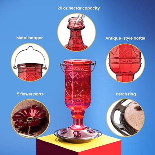 More Birds Red Jewel Hummingbird Feeder, Glass Bottle, 5 Feeding Ports and 20-Ounce Nectar Capacity (76IN) thumbnail 4