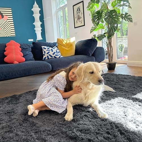 OLANLY 5x8 Machine Washable Large Area Rugs for Living Room, Bedroom, Soft Fluffy Shaggy Bedside Rug, Indoor Floor Carpet for Kids Girls and Boys, Dorms, Nursery, Home Decor Aesthetic, Grey thumbnail 5