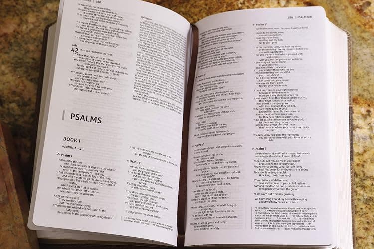 NIV, Premium Gift Bible, Leathersoft, Brown, Red Letter, Comfort Print: The Perfect Bible for Any Gift-Giving Occasion thumbnail 6