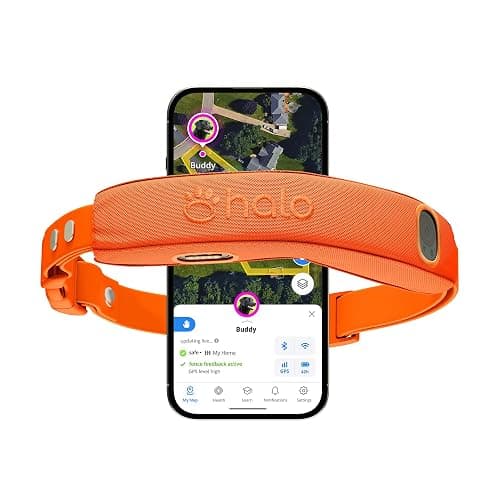 Halo Collar 5, New Wireless Dog Fence & GPS Dog Collar, Subscription Required, Waterproof, Blaze, One Size - Image 1
