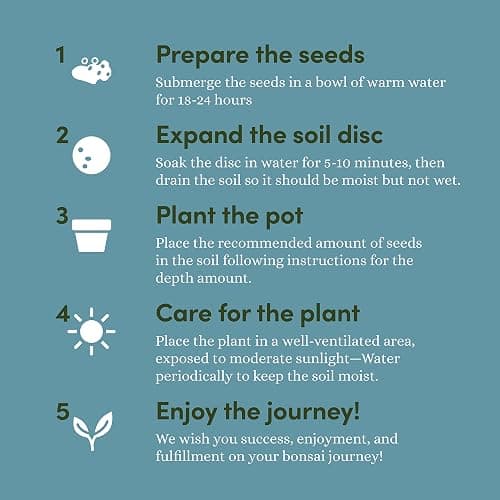 Bonsai Starter Kit thumbnail 6