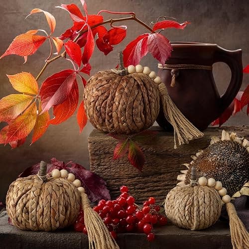 Wesiti 3 Pcs Rattan Pumpkin with Tassel Beads Boho Neutral Fall Thanksgiving Decor Handmade Artificial Woven Pumpkin Table Centerpieces Farmhouse Autumn Decorations for Indoor Mantel Harvest Halloween thumbnail 2
