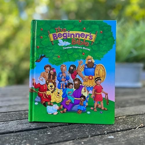 The Beginner's Bible: Timeless Children's Stories thumbnail 17
