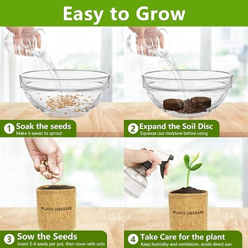 Bonsai Tree Kit, Bonsai Starter Kit with Seeds & Tools, Tree Live Plants Indoor, Gardening Gifts for Women Men Mom Father Plant Lover, Birthday Thanksgiving Christmas Gifts thumbnail 4