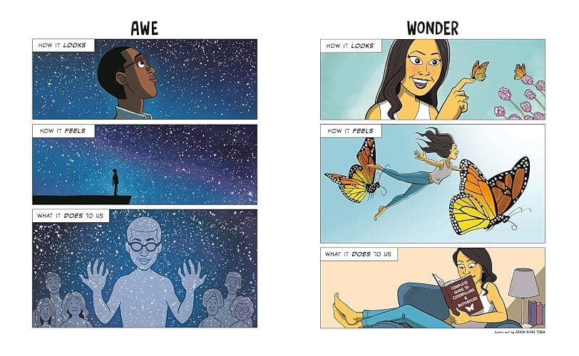 Atlas of the Heart: Mapping Meaningful Connection and the Language of Human Experience thumbnail 3