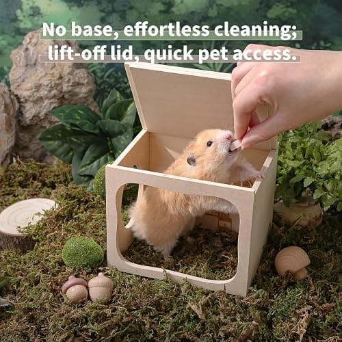 Marchul Magnetic Hamster Hideout Wooden House Chamber for Small Animals Pets Tunnel Exploring Toys for Dwarf Hamsters, Syrian, Gerbils, Hedgehogs, Rats, Mice (Living Room) thumbnail 8
