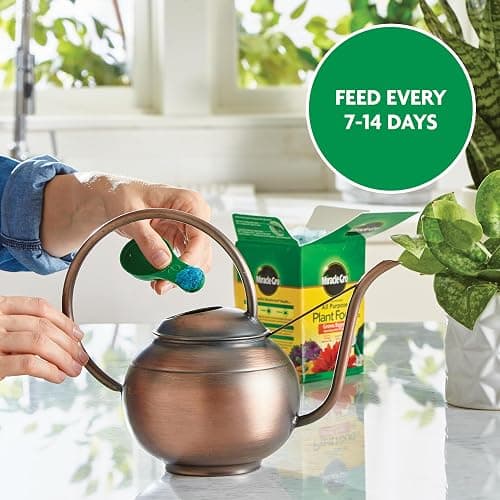 Miracle-Gro Water Soluble All Purpose Plant Food, For All Indoor or Outdoor Plants, Roses, Flowers, Vegetables, Houseplants, Trees, and Shrubs, 1.5 lbs thumbnail 9