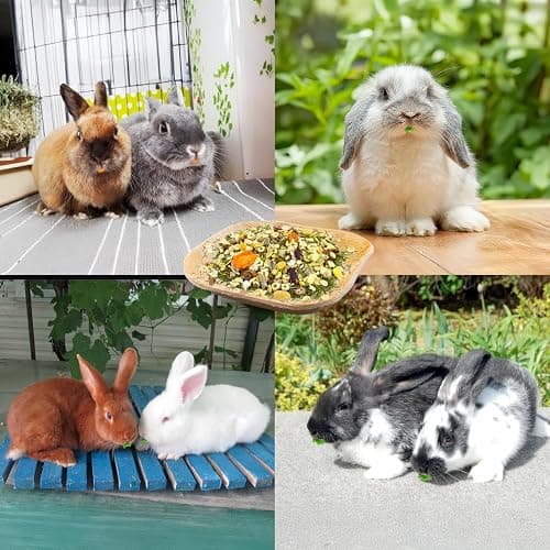 Jiaxix 30 Pcs Disposable Palm Leaf Bowl 4" Square Bowls for Rabbits,Chewable Dish for Rabbits,Bunnies,Hamsters,Parrot thumbnail 7