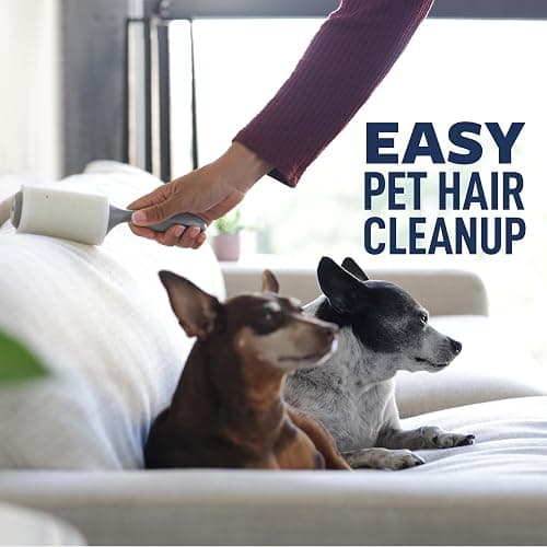 Scotch-Brite Everyday Clean Lint Roller, White, Manual Operation, 3 Pack, Lint Remover for Pet Hair, Dark Clothes, Furniture, and Dusty Surfaces, 300 Adhesive Sheets Total thumbnail 4