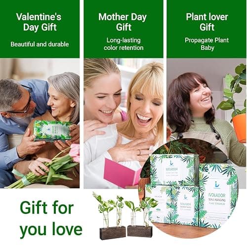 Propagation Station, Plants Terrarium, Plants Lover Gifts for Women,Plant Cutting Holder Home décor,Gifts for Women,House Warming New Home-4 Tubes-Brown thumbnail 7