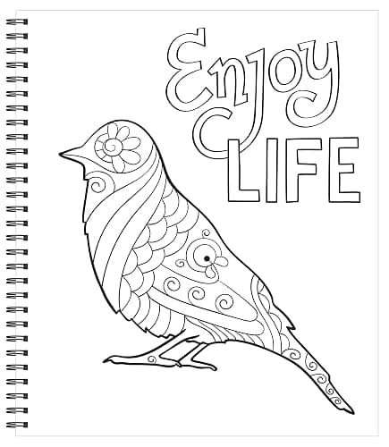 Large Print Easy Color & Frame - Calm (Stress Free Coloring Book) thumbnail 4