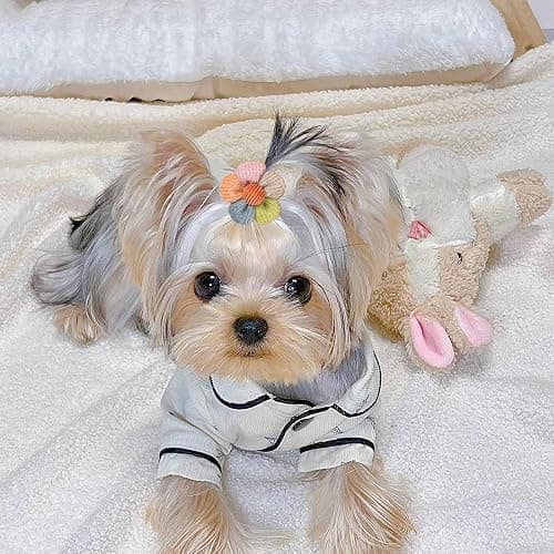FGISAR 20 Pcs Small Dog Hair Bows with Rubber Bands Handmade Puppy Hair Bows Cute Grooming Flower Ball Bowknot Top Knot Dog Hair Accessories Hair Ties for Yorkie Maltese Pet (Pink) ﻿ thumbnail 5