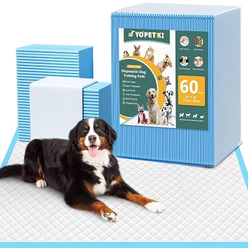 60 Count Extra Large Dog Pee Pads 28" x 34", Super Absorbent X-Large Puppy Pads Disposable Dogs Training Pads, Quick Drying Leak-Proof Dog Potty Pads for Doggies Puppies - Image 1