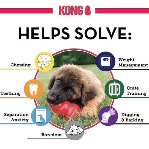KONG Classic Stuffable Dog Toy - Fetch & Chew Toy for Dogs - Treat-Filling Capabilities & Erratic Bounce for Extended Play Time - Durable Natural Rubber Material - for Medium Dogs thumbnail 6