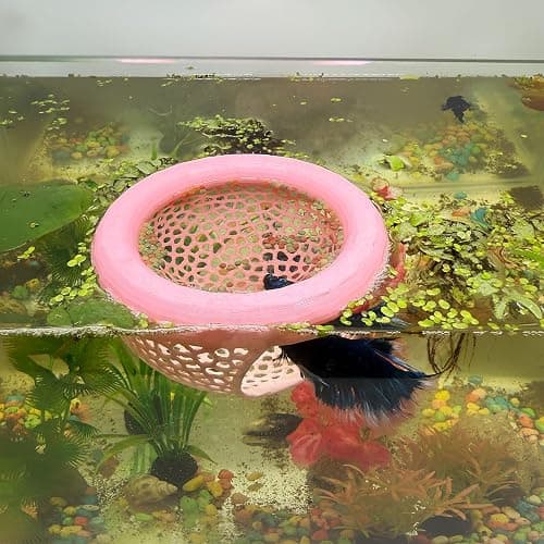 Aquarium Floating Betta Fish Skins, Betta or Shrimp Feeder, Cave and Hammock, Small Fish Feeding Rings, Aquarium Hiding Feeding Decorative Accessories (Pink) - Image 1