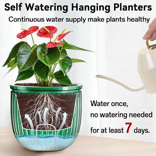 Halatool 2 Pack Self Watering Hanging Planters for Indoor Plants - 6.5 Inch Outdoor Hanging Flower Pots with 2 Metal Chains for Garden Home Wall Decor (Peacock Green) thumbnail 6