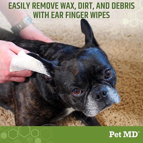 Dog Ear Cleaning Finger Wipes with Aloe Vera & Eucalyptus Oil – Veterinarian Formulated Pet Ear Wipes for Dog Ear Care – Made in USA – 50 Count thumbnail 2
