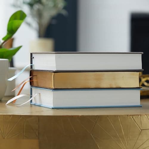 NRSV, Catholic Bible, Journal Edition, Leathersoft, Brown, Comfort Print: Holy Bible thumbnail 14