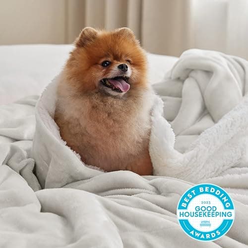 Bedsure GentleSoft Sherpa Fleece Throw Blanket Twin Size for Couch - Thick and Warm Throw for Women and Men, Soft Fuzzy Plush Twin Blanket for Winter, Linen, 60x80 Inches thumbnail 3