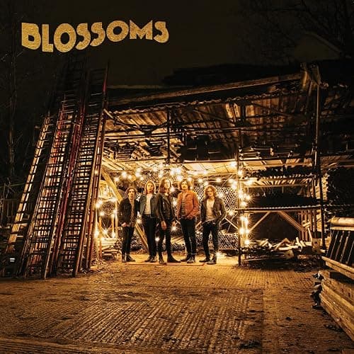 Blossoms - Image 1