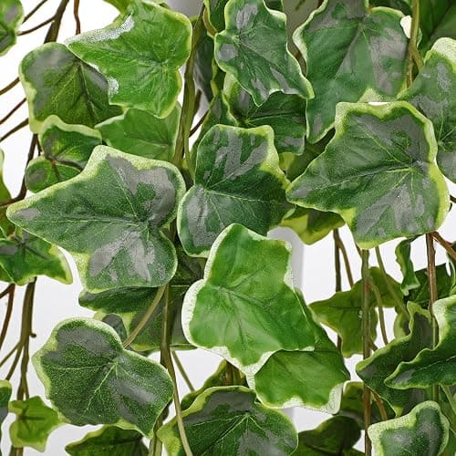 Hollyone Artificial Hanging Plants Potted 31.4" Fake Ivy Vine Faux Ivy Leaves Hanging Greenery Plant in Black Pot for Home Indoor Wall House Room Patio Shelf Office Decor thumbnail 4