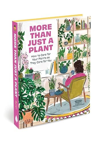 More Than Just a Plant: How to Care for Your Plants as They Care for You - Image 1