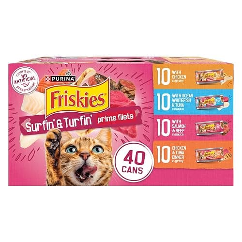 Purina Friskies Gravy Wet Cat Food Variety Pack, Surfin’ and Turfin’ Prime Filets Favorites - (Pack of 40) 5.5 oz. Cans - Image 1