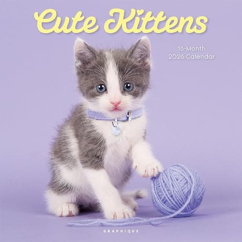 Graphique 2026 Cute Kittens Wall Calendar | 12” x 12” | Thick Paper | Home & Office Organizer | Large Monthly Grid | 3 Languages & Marked Holidays | 4 Month Preview Page for 2027 - Image 1